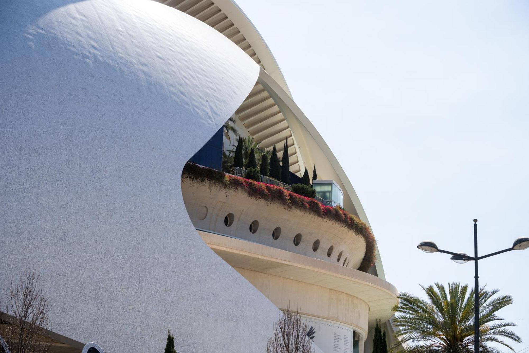 Alojamiento Junto Al Oceanografic Valencia Buitenkant foto