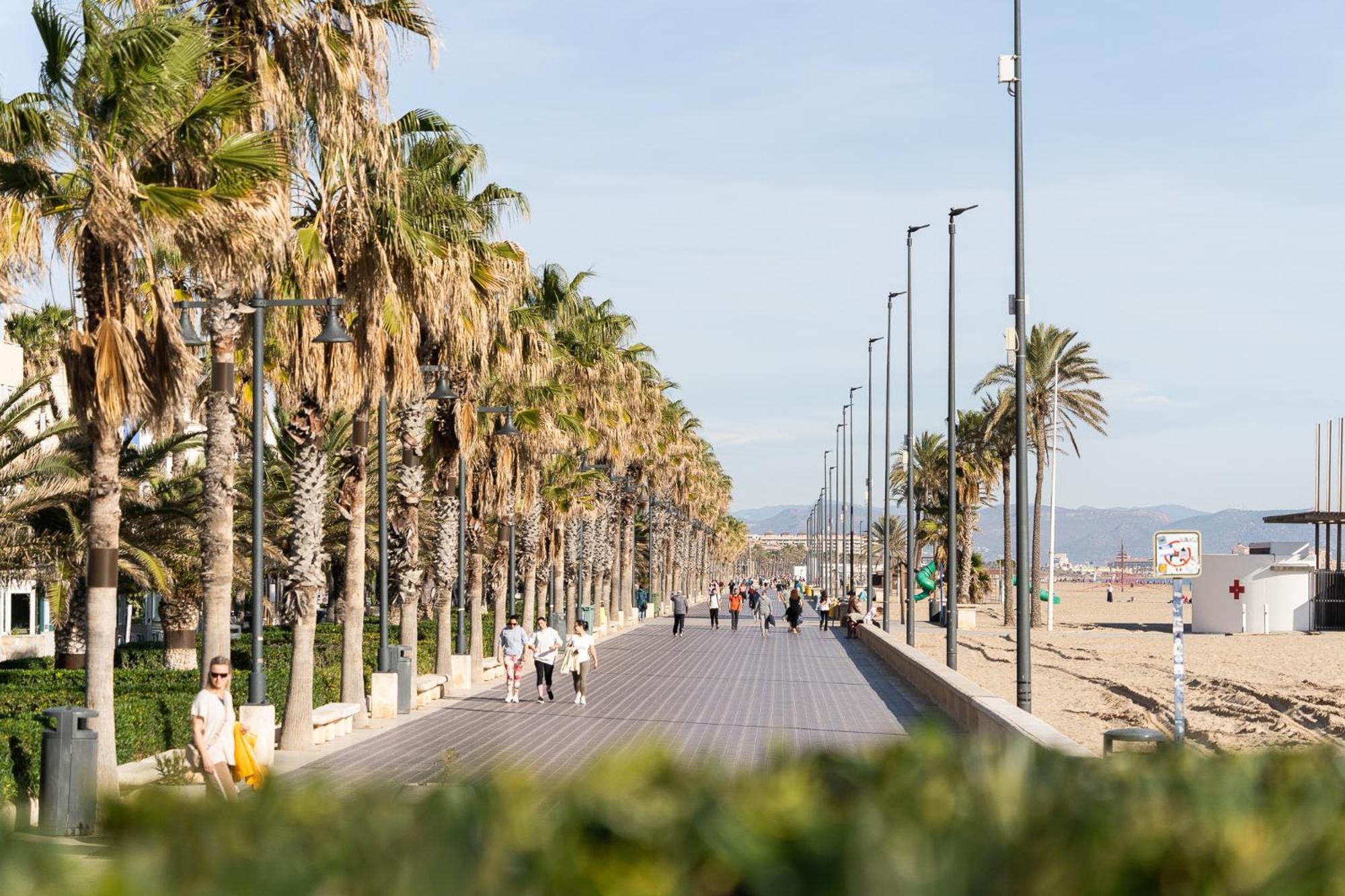 Alojamiento Junto Al Oceanografic Valencia Buitenkant foto